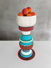 terracotta vase hybride